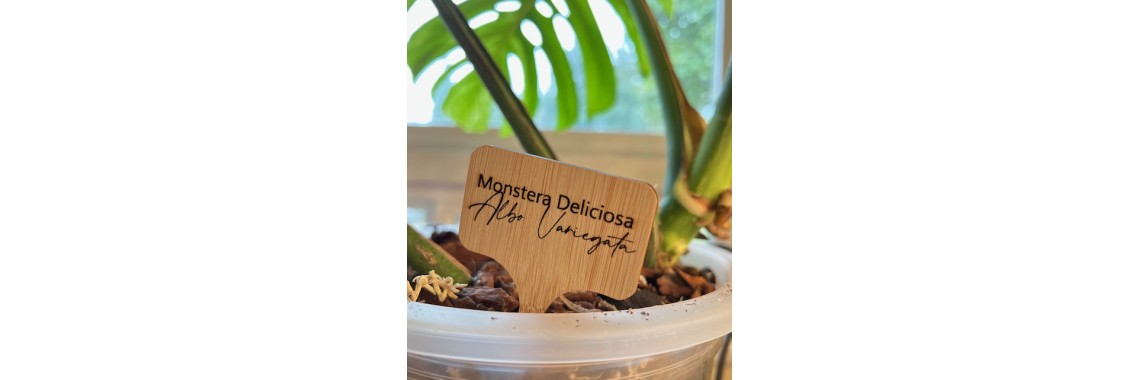 Plant Tag