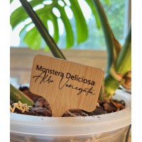 Bamboo plant tags, plant marker with custom laser engraved names